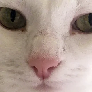 😒