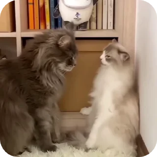 😏