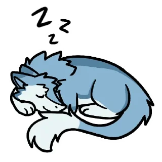 💤