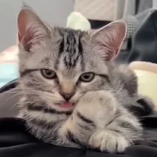 😜