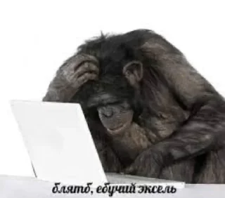 🧑‍💻