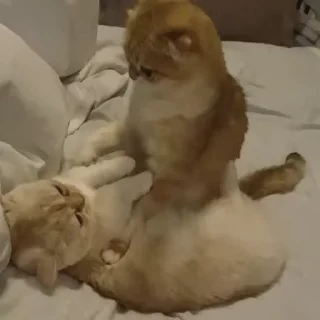 💕