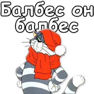 😼