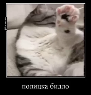 👌