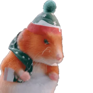 🐹