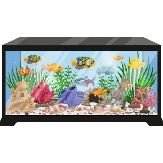 🐠
