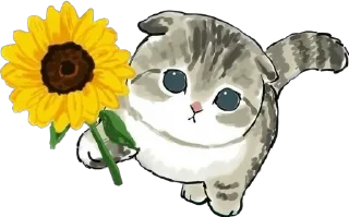 🌻
