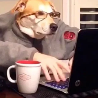 🤓