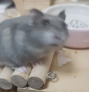 🤪