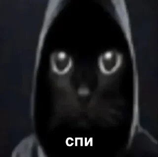 😎