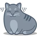 😽