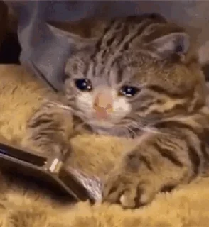 💔