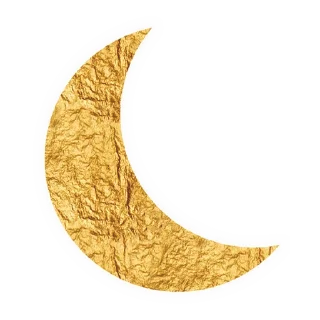 🌙