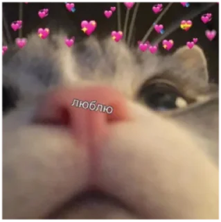 ❣