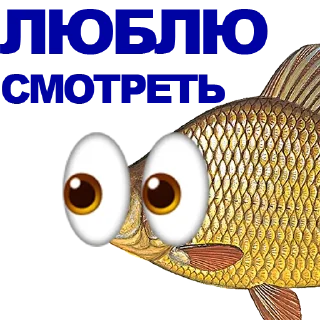 🐠