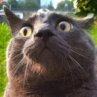 😳