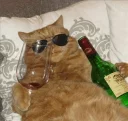 😎