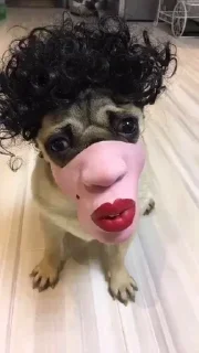 👄