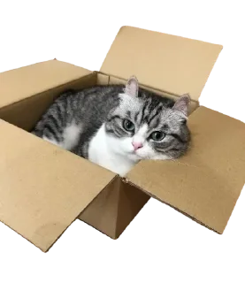 📦