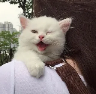 😉