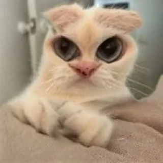 😕
