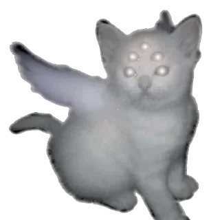 🐈