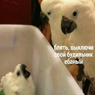 ⏰
