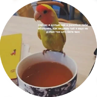 ☕️