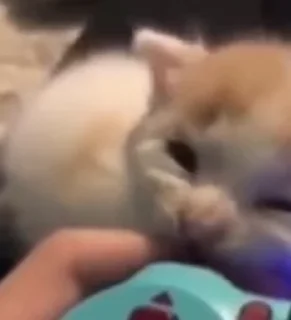 🥰
