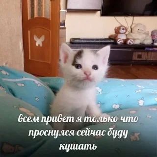 🙂