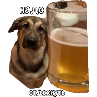 🍺