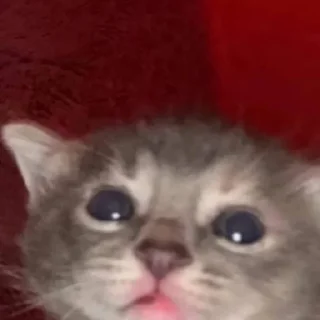 😕