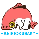 🐽
