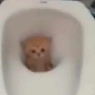 🫥