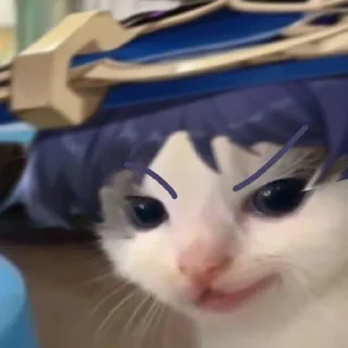 🌟