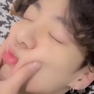 🐰