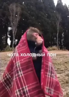 🥶