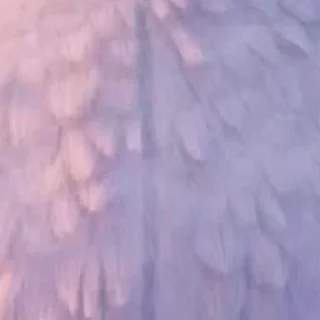 🫣