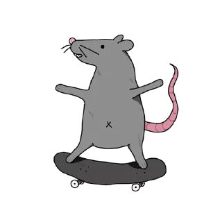 🛹