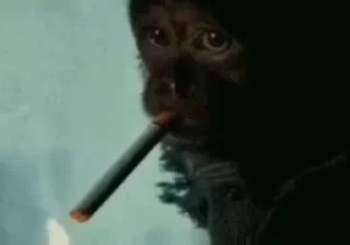 🚬