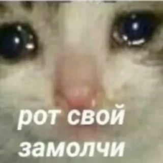 😢