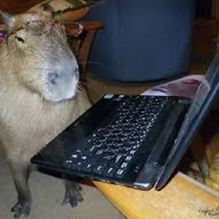 💻