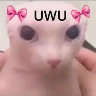 ☺️