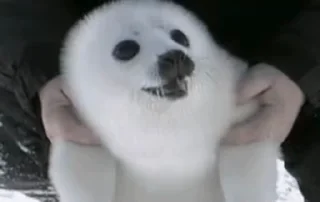 😮