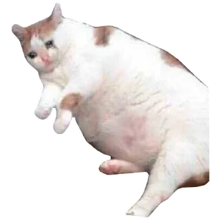 😴