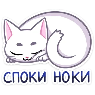 😴