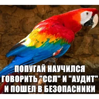 🦜