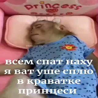 🐵