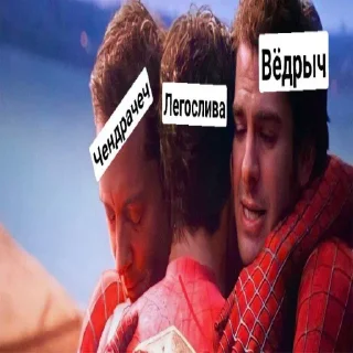 🕷️
