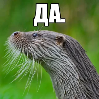 👍
